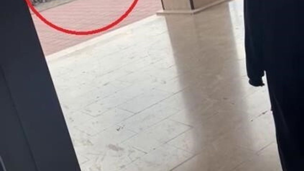 Bursa İnegöl'de Okul Müdürü Öğrenciyi Sınıf Önünde Darp Etti