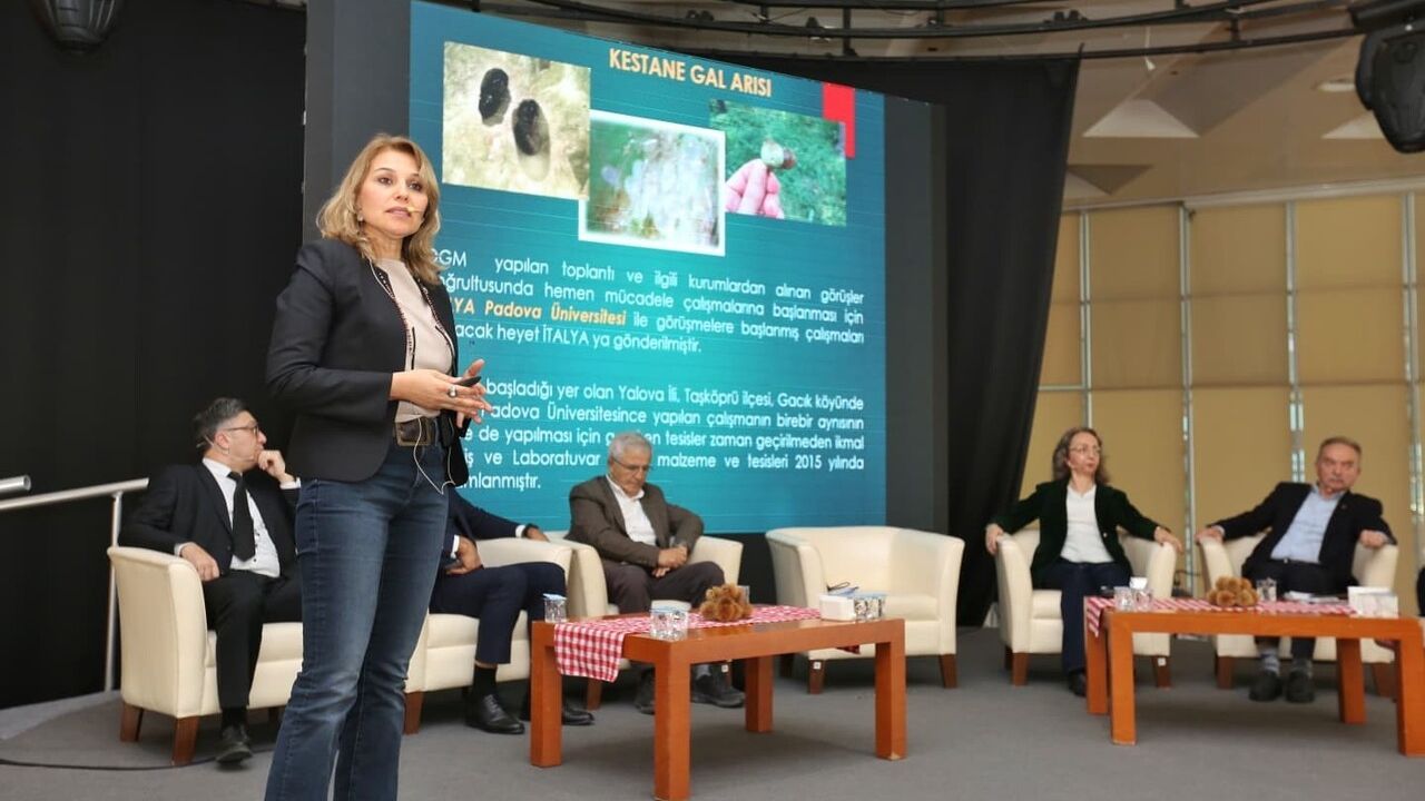 Bursa Kestanesi Büyükşehir’le Yeniden Filizleniyor