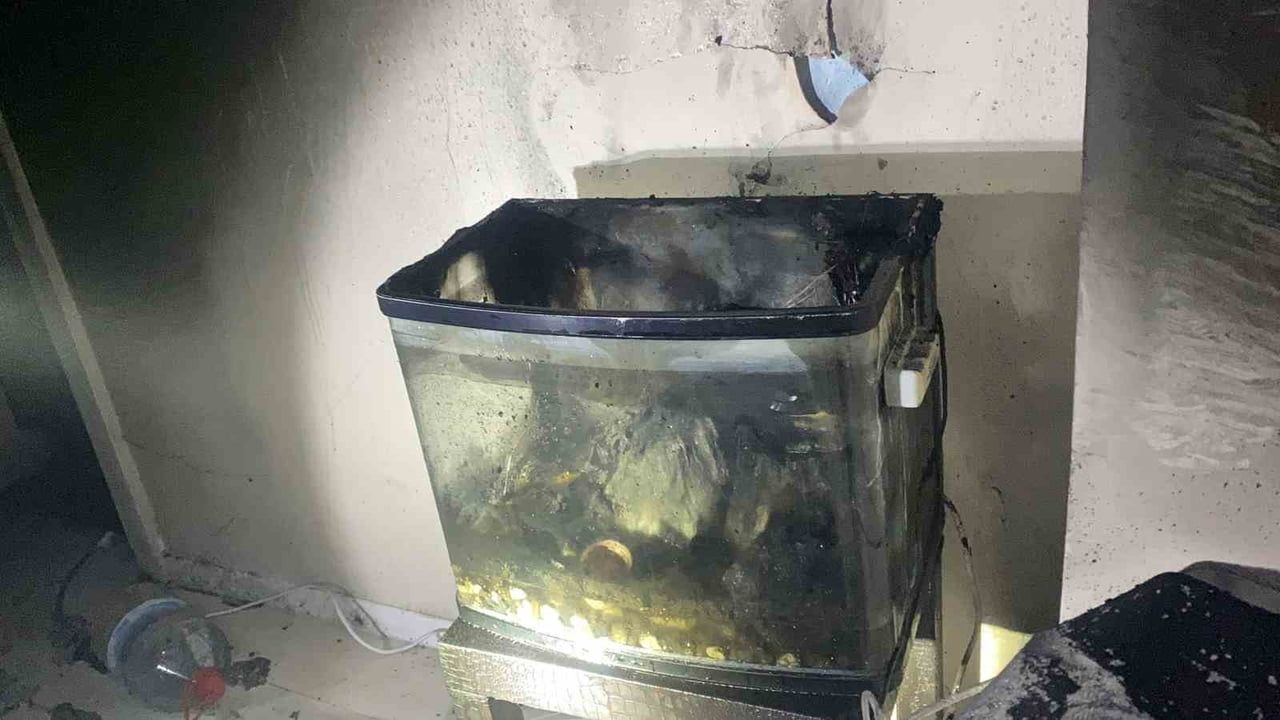 Bursa Mudanya'da Ev Yangını — Akvaryumdaki Balıklar Kurtarıldı