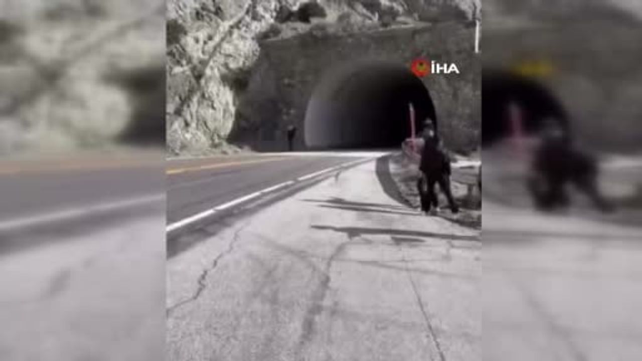 Call of Duty geliştiricisi Vince Zampella Ferrari kazasında hayatını kaybetti