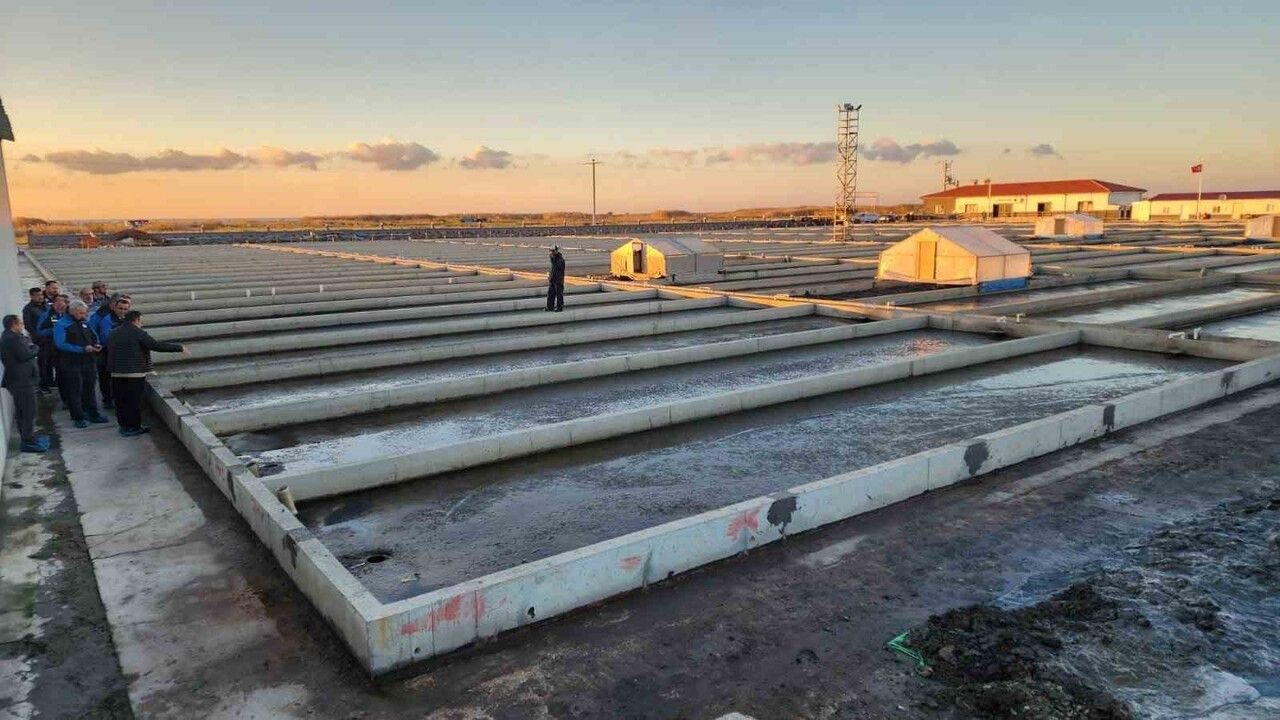 Çanakkale Ayvacık'ta Türkiye'nin Tek Deniz Solucanı Yetiştiriciliği Tesisi