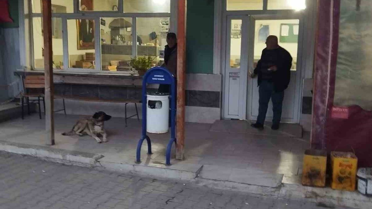 Çanakkale’de Köy Kahvesi İhalesinde Kriz: Kira 126 Bin TL’ye Çıkınca İptal