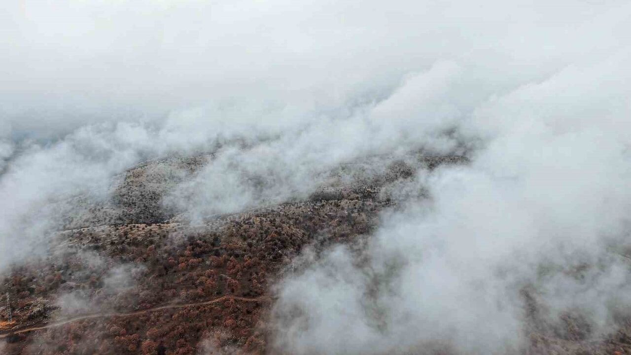 Çankırı Korgun'da Sisin Büyüsü: Ormanlar Kartpostallık Görüntüler Oluşturdu