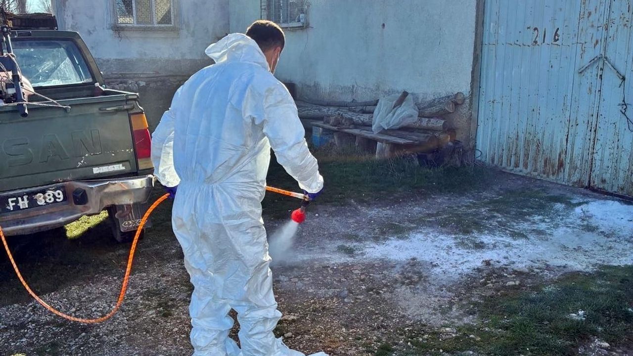 Çavdarhisar'da Hayvan İşletmelerinde Dezenfeksiyon: Salgınlara Karşı Önlem