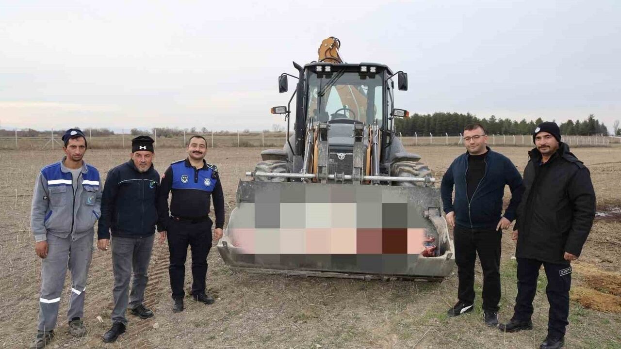 Çifteler’de 215 Kilogram Kaçak At Eti Ele Geçirildi, İşletme Mühürlendi