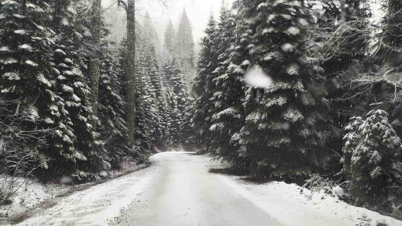 Çiğdem Yaylası beyaza büründü: Hendek'te kartpostallık kar manzarası