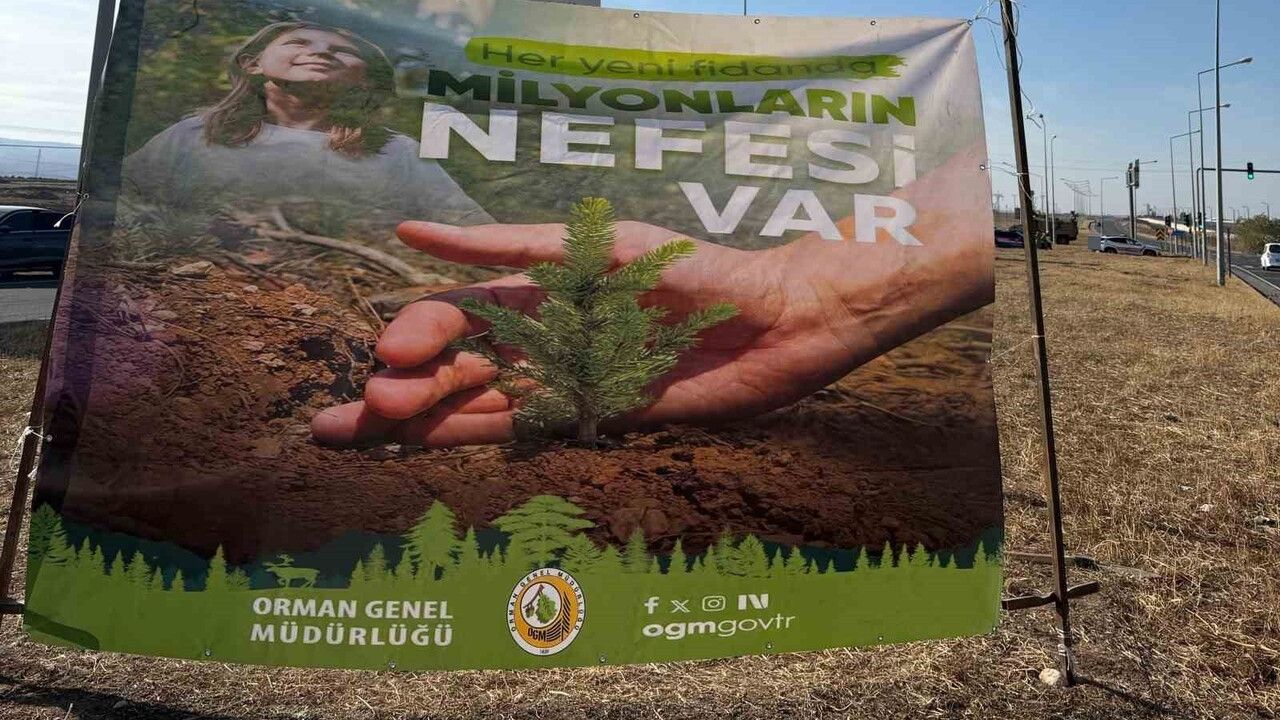 Cizre Havalimanı Yolu 450 Fidanla Yeşillendi