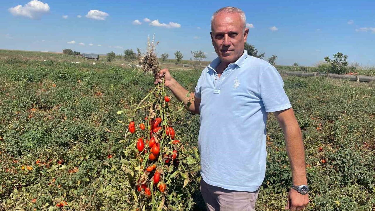 Dedesi Muhtar Olunca Adı 'Seçim' Koyuldu: Seçim Gezegen Anlatıyor