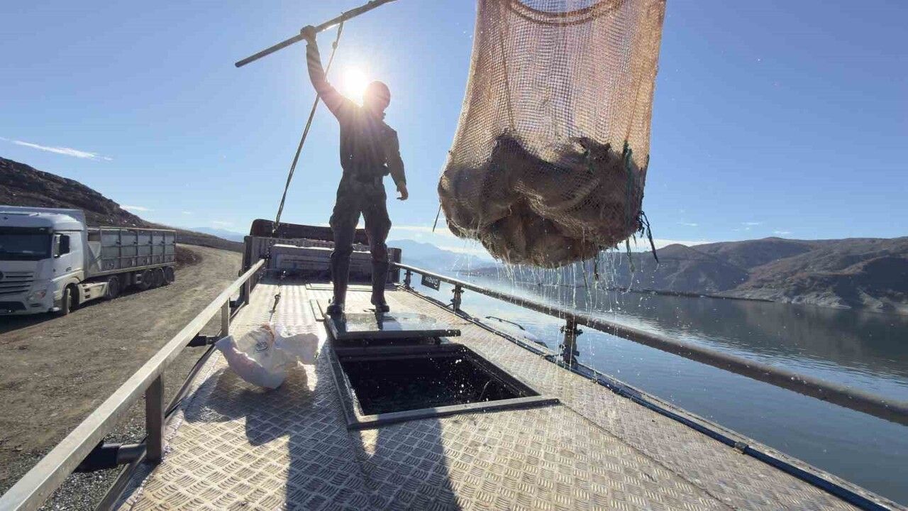 Denizi Olmayan Tokat'ta Yetişen Somonlar Dünya Sofralarına Ulaşıyor