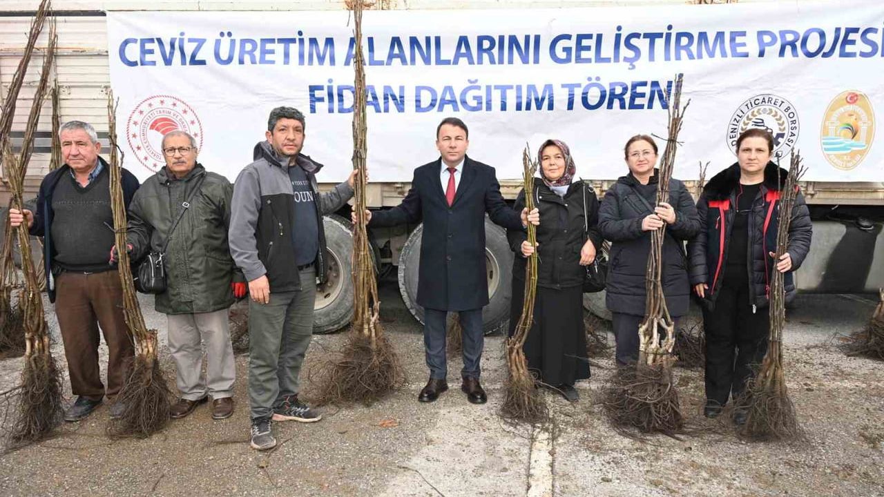 Denizli'de 30 Bin Ceviz Fidanı Dağıtımı Başladı