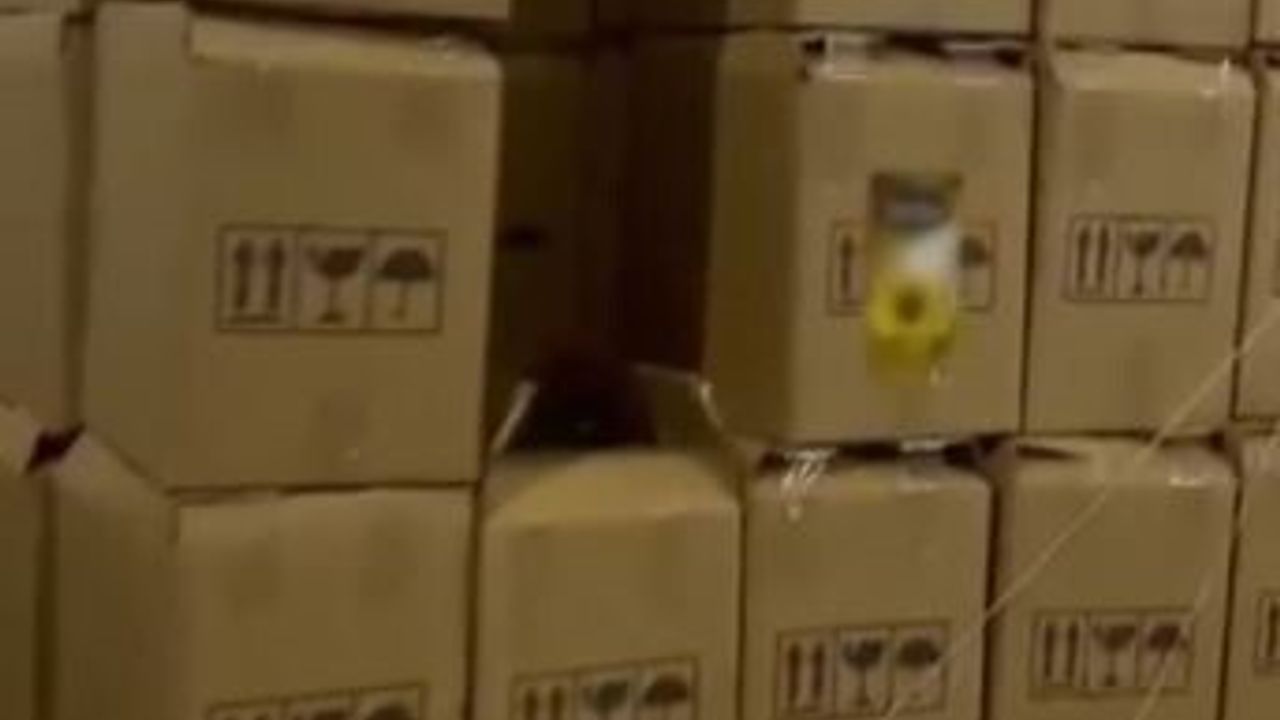 Denizli'de Binlerce Litre İzinsiz Bitkisel Yağ Ele Geçirildi