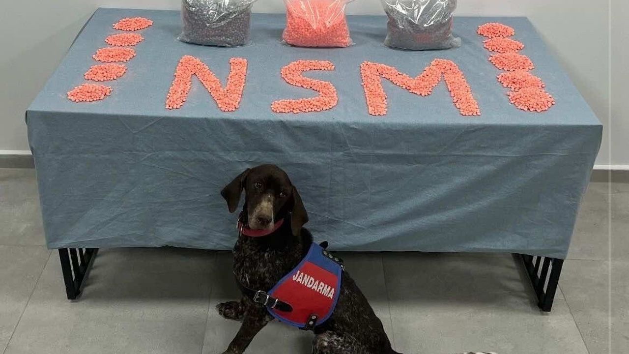 Denizli'de Jandarma 28 Bin Extacy Hapla Şüpheliyi Yakaladı