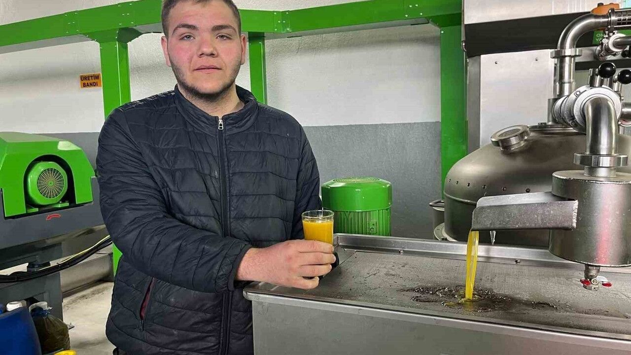 Denizli'de Zeytin Hasadı: Kara Meyve Altın Sıyıya Dönüşüyor