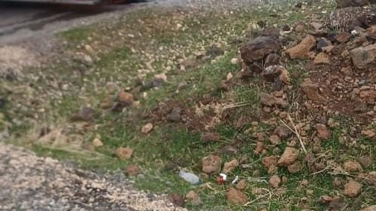 Diyarbakır Çınar'da Tır Alev Aldı: Sürücü Kabini Dorseden Ayırdı