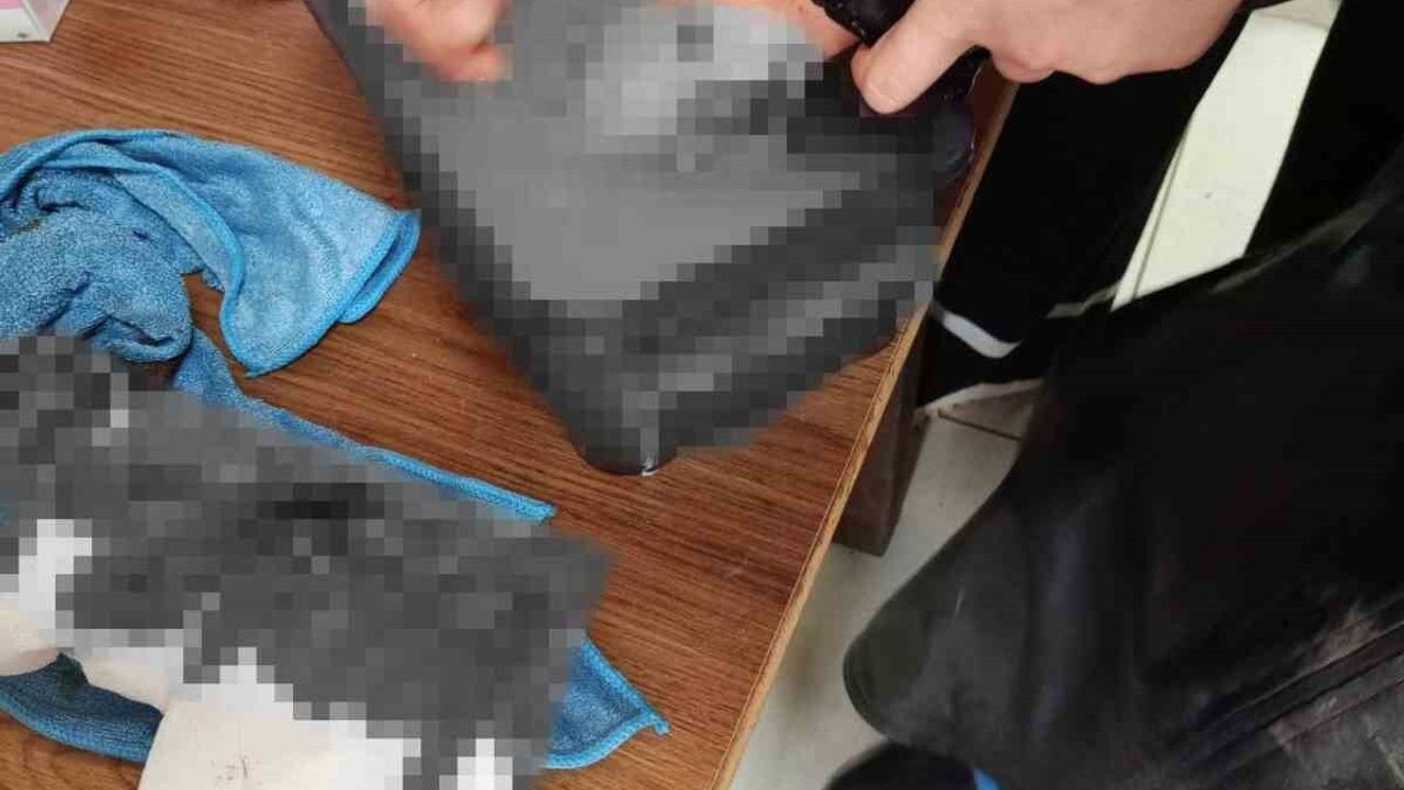 Diyarbakır’da başıboş köpek saldırısı: 2 kişi yaralandı