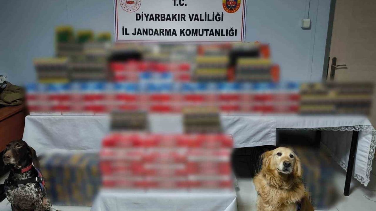 Diyarbakır'da Kaçakçılık Operasyonları: 91 Şüpheliye İşlem