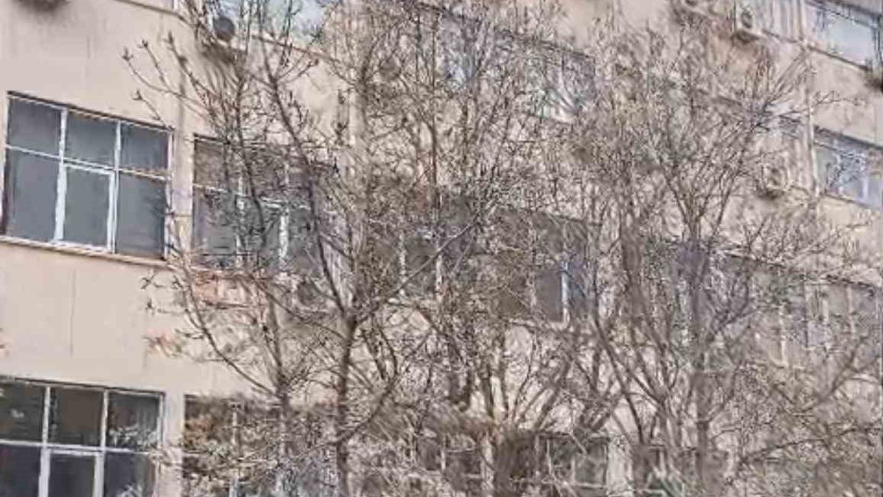 Diyarbakır: Dicle Üniversitesi'nde Çatıya Çıkan Şahıs İkna Edilerek İndirildi