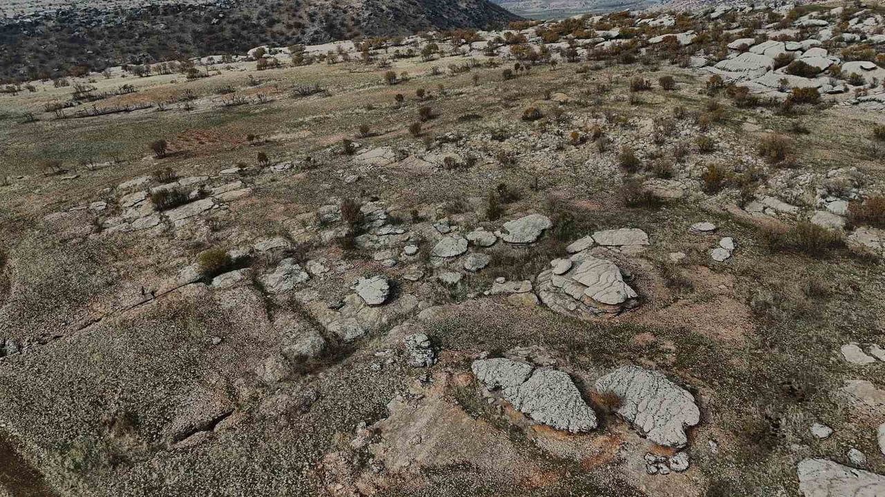 Diyarbakır Kocaköy'de Yüz Milyonlarca Yıl Önceye Ait Fosiller Bulundu