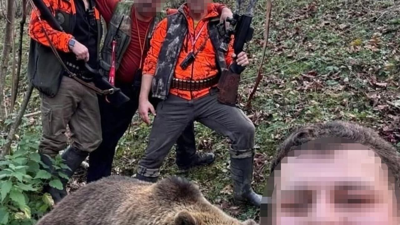 Doğu Karadeniz'de Ayı Avı Sonuç Verdi: Trabzon'da İlk Ayı Vuruldu