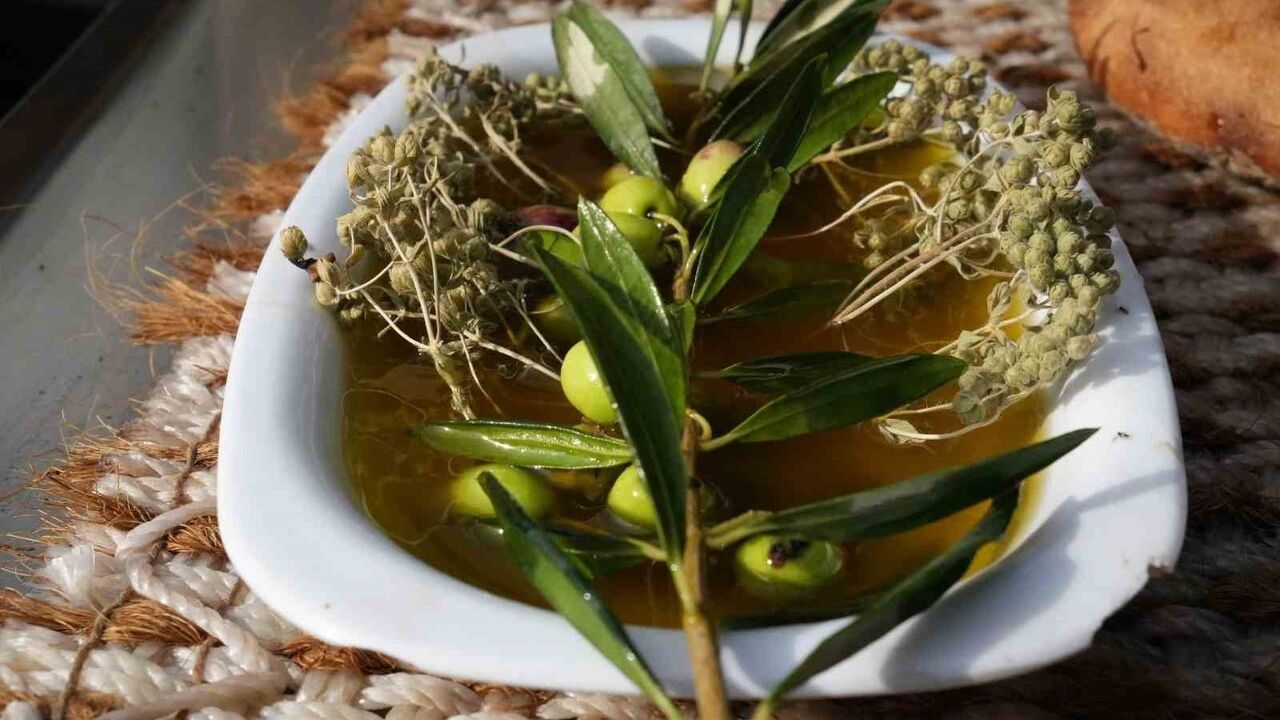 Dr. Kıvrak: Erken ve Olgun Hasat Zeytinyağları Arasındaki Farklar