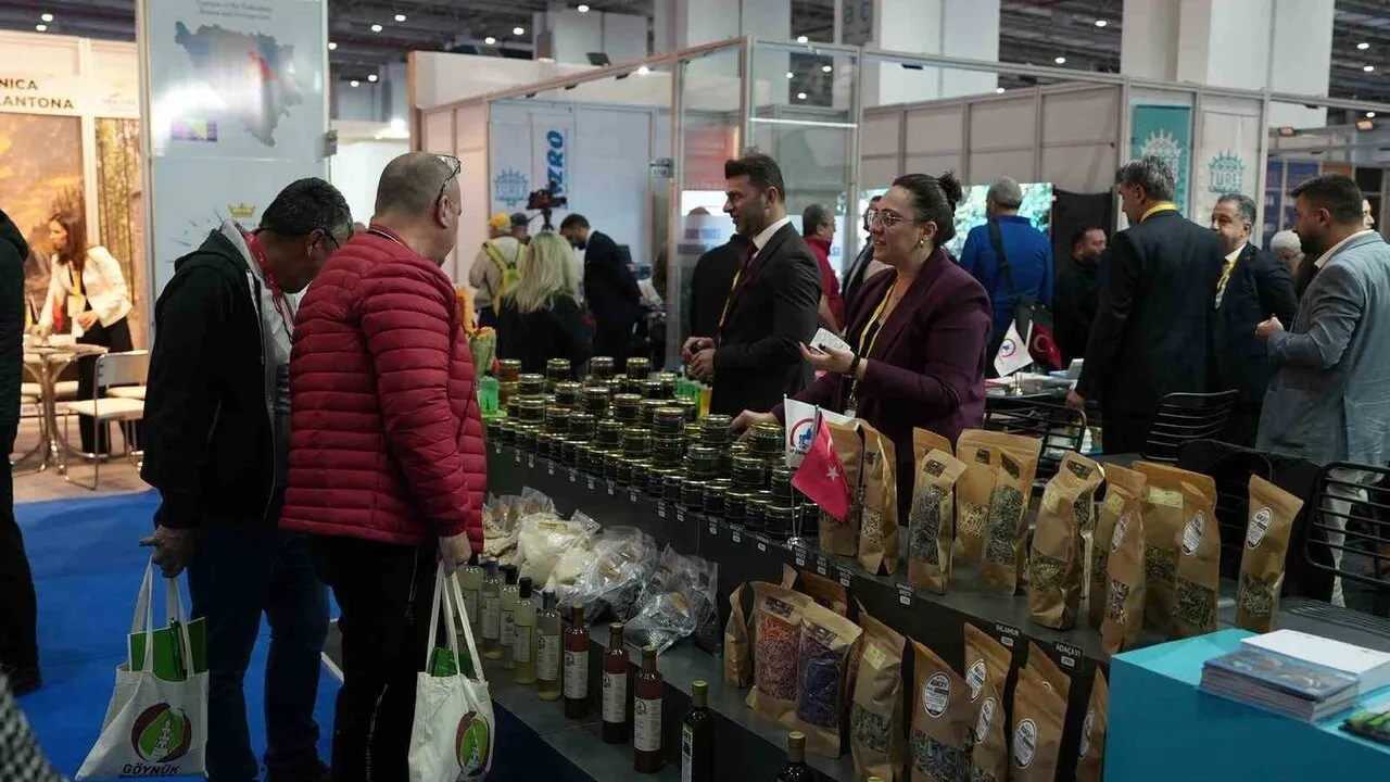 Düzce, 19. TTI İzmir Turizm Fuarı'nda Tanıtıldı