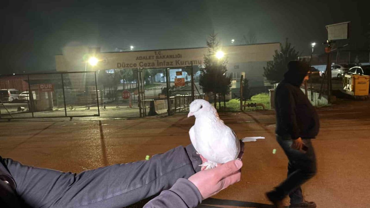 Düzce'de 326 Hükümlü Tahliye Edildi — Beyaz Güvercinle Karşılama