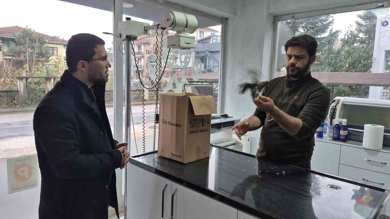 Düzce'de duyarlı vatandaş kumruyu veterinere teslim etti