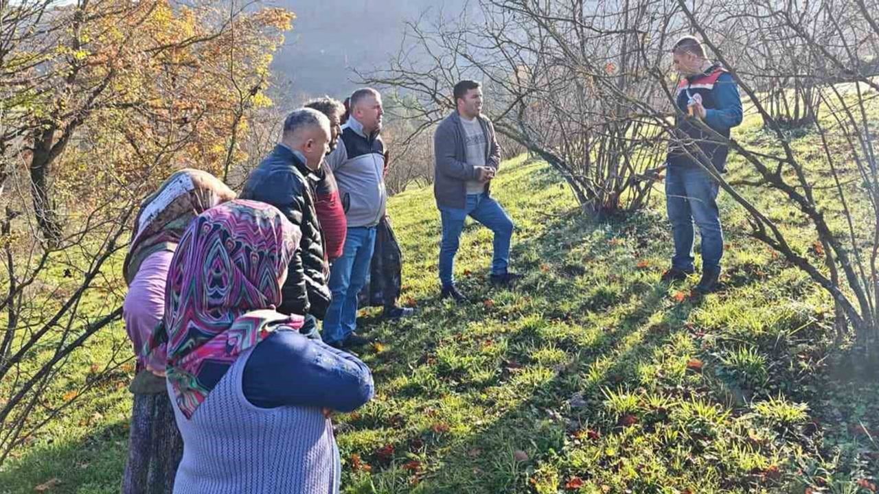 Düzce'de Fındıkta Verim ve Kalite İçin Budama Eğitimi Seferberliği