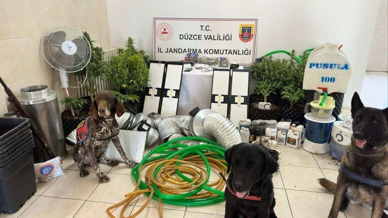 Düzce'de Uyuşturucu Operasyonu: 2 bin 373 gram Skunk ve 16 kök ele geçirildi