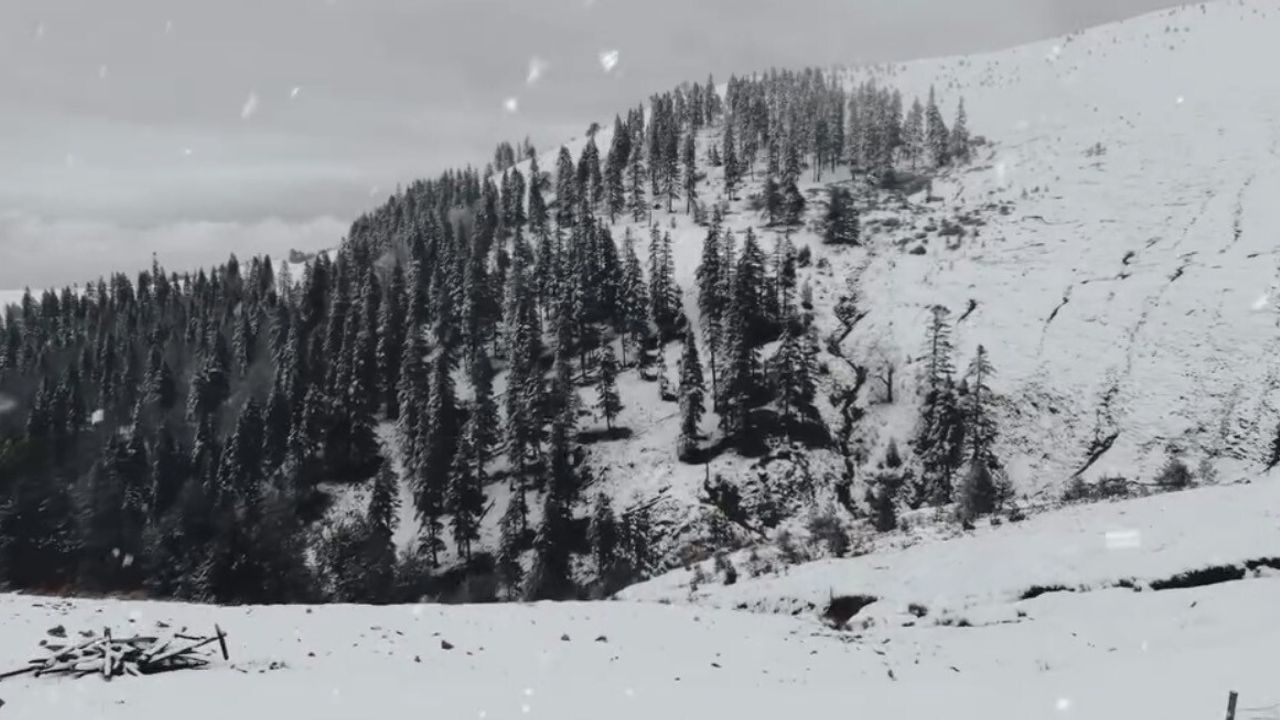 Düzce'de Yüksek Kesimler Karla Beyaza Büründü