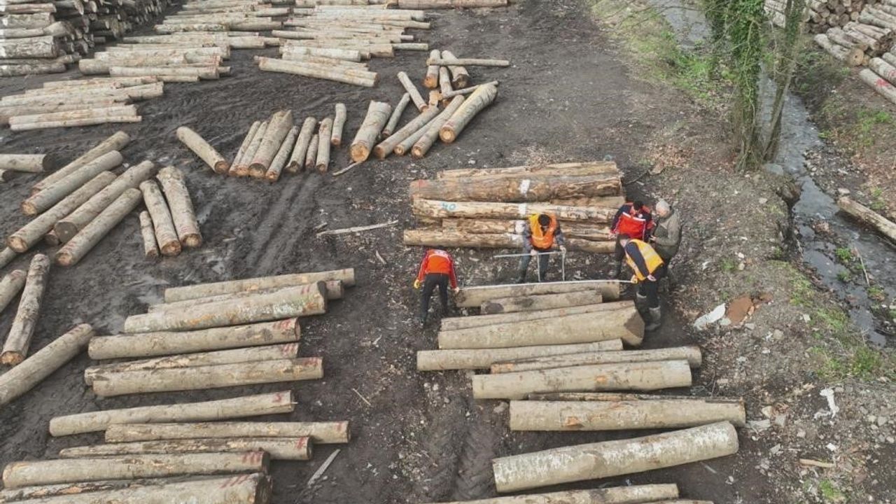 Düzce'den 22 bin 310,95 Ton Orman Ürünü İhracatı Geçen Yılı Aştı