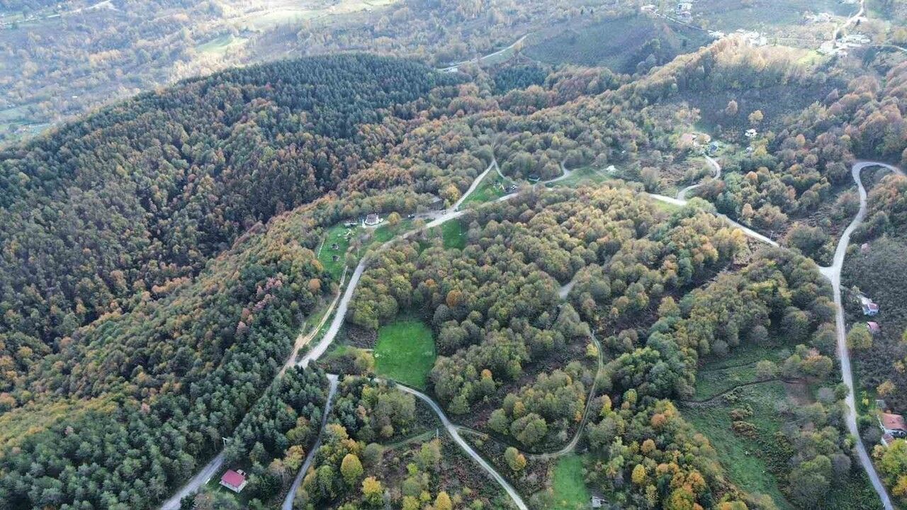 Düzce Ormanlarında Sonbaharın Renk Cümbüşü