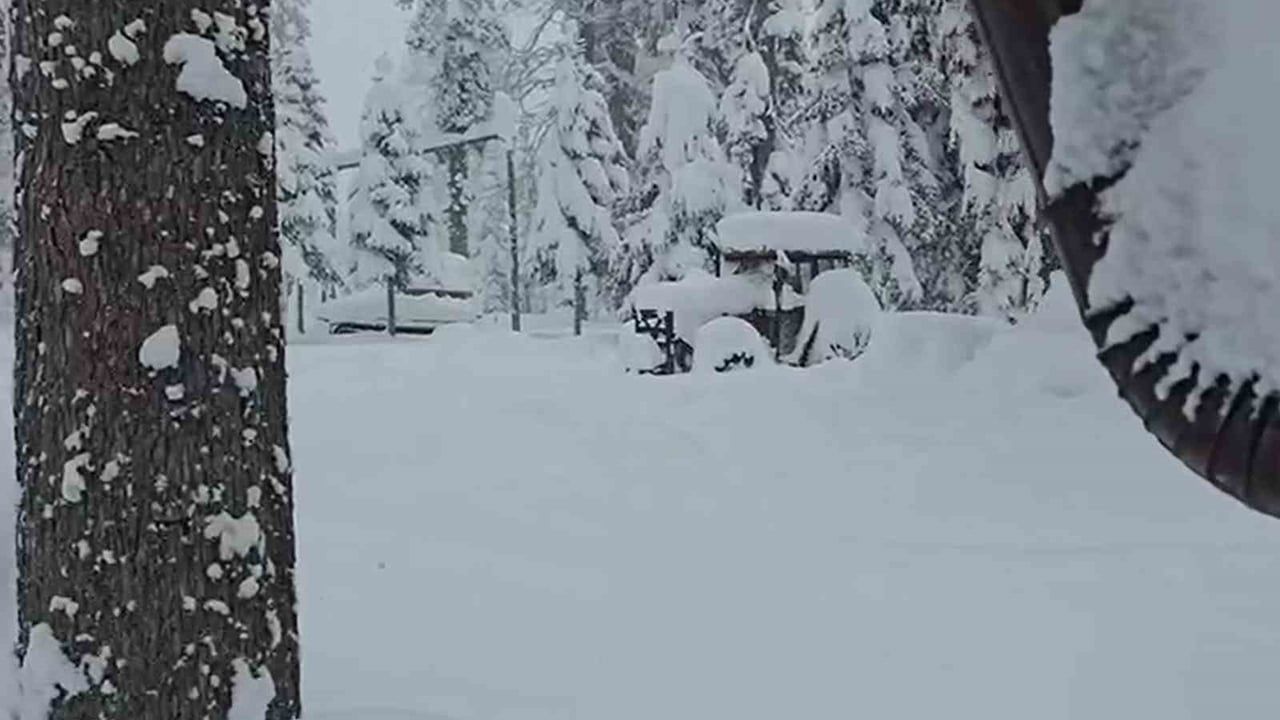 Düzce Sinekli Yaylası'nda Kar 1,5 Metreye Ulaştı