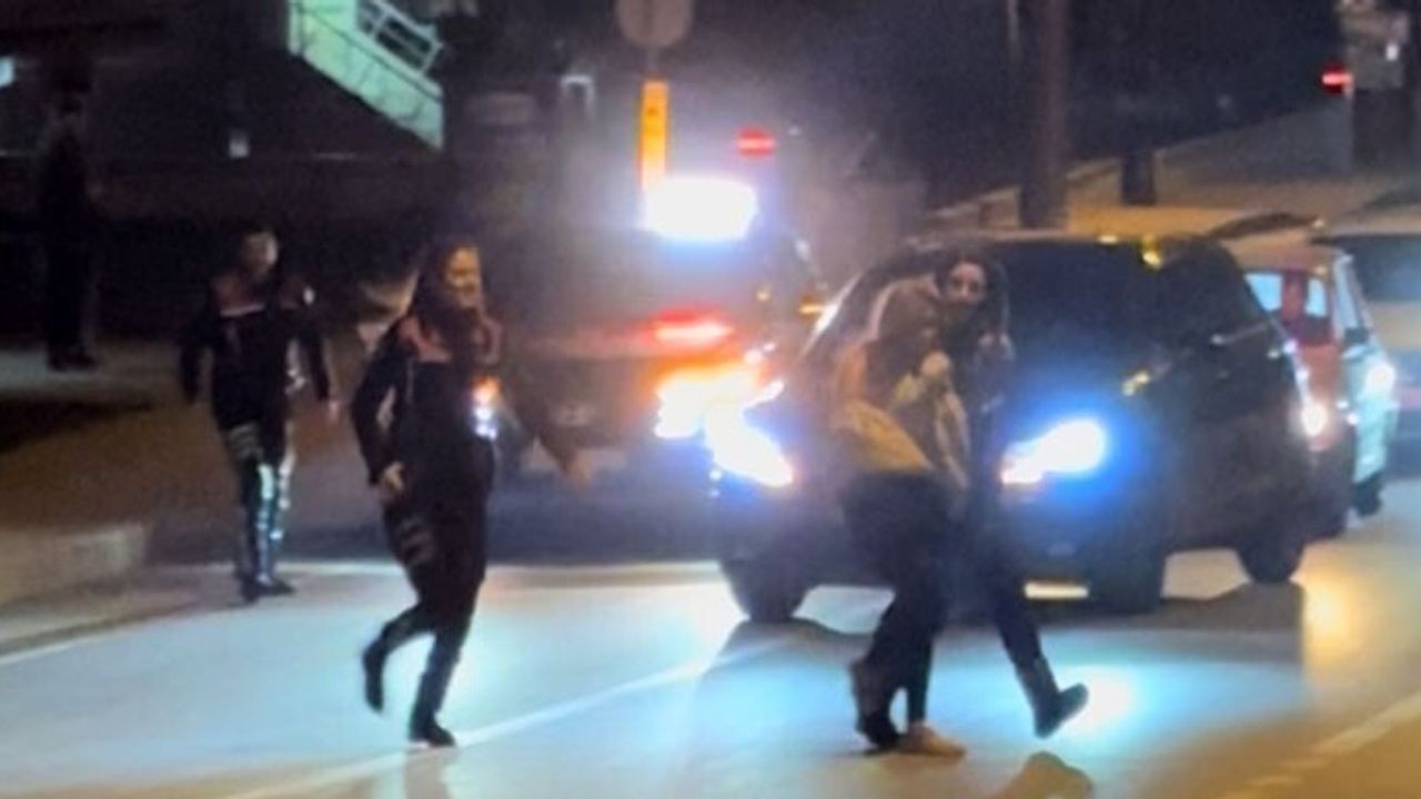 Edirne’de Sinir Krizi: Genç Kadın Çevreye Saldırdı, Polis Müdahale Etti