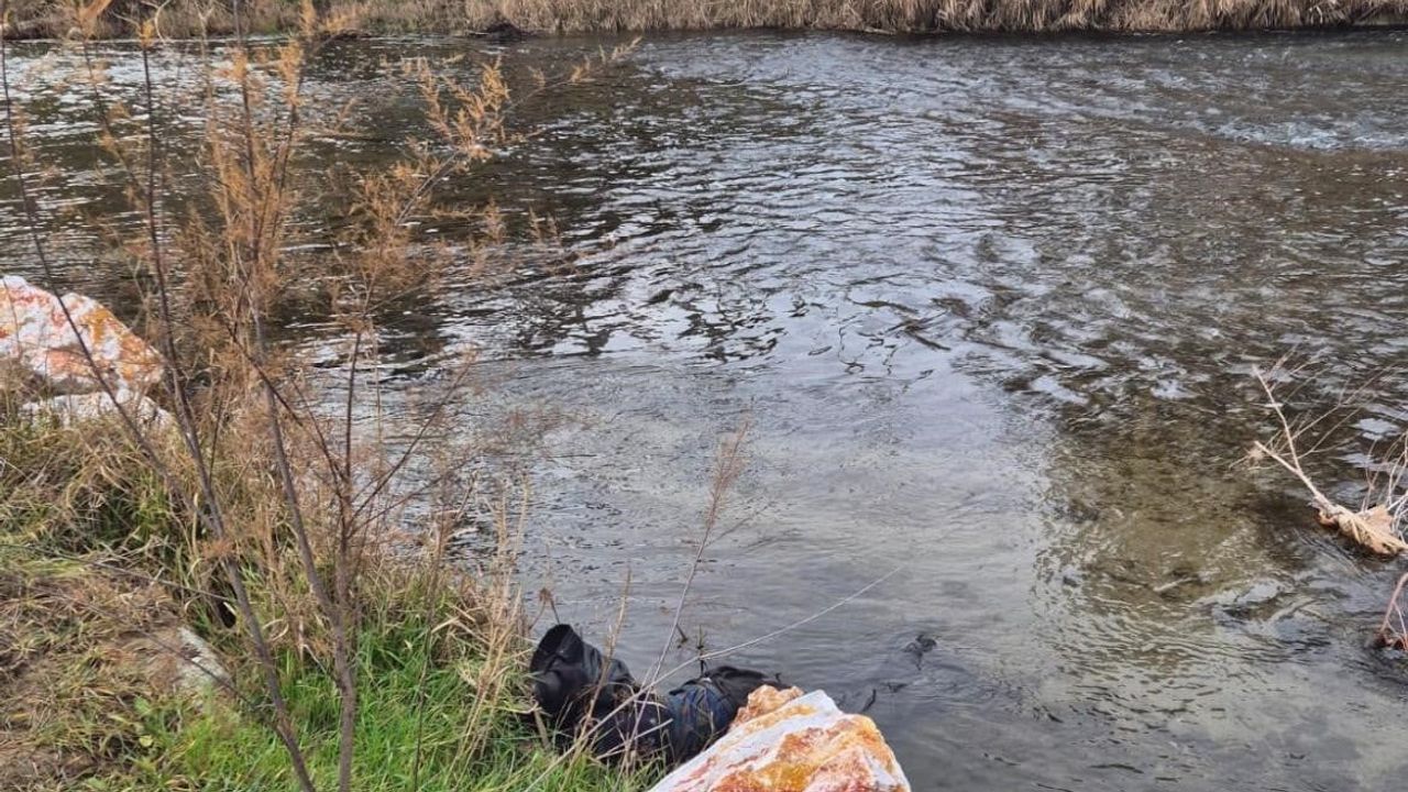 Ege Ekspresi Tavşanlı’da Yayaya Çarptı: 79 Yaşındaki Halil Çelik Hayatını Kaybetti