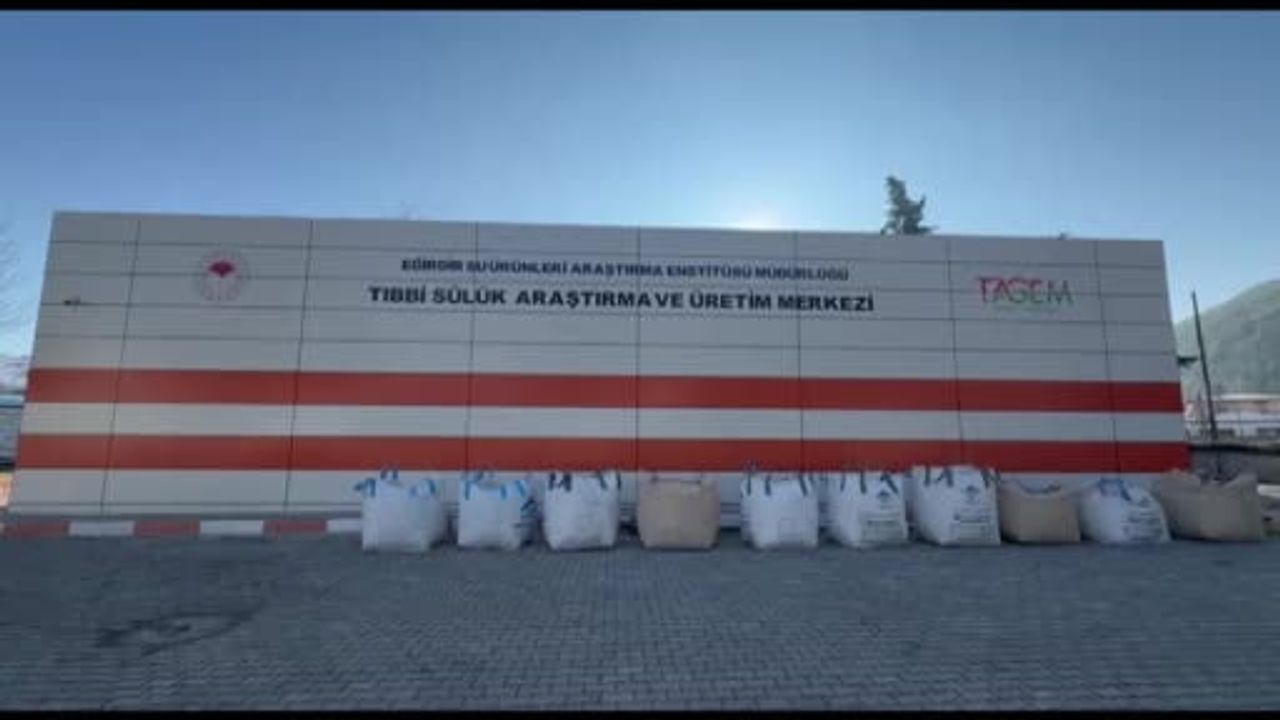 Eğirdir'de Yılda 20 Bin Tıbbi Sülük: Türkiye'nin İlk Kamu Üretim Merkezi