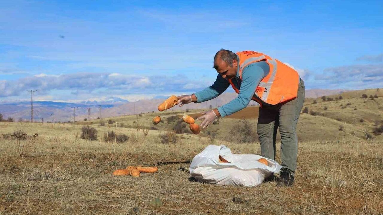 Elazığ Belediyesi'nden Sokak ve Yaban Hayvanlarına Yem Desteği