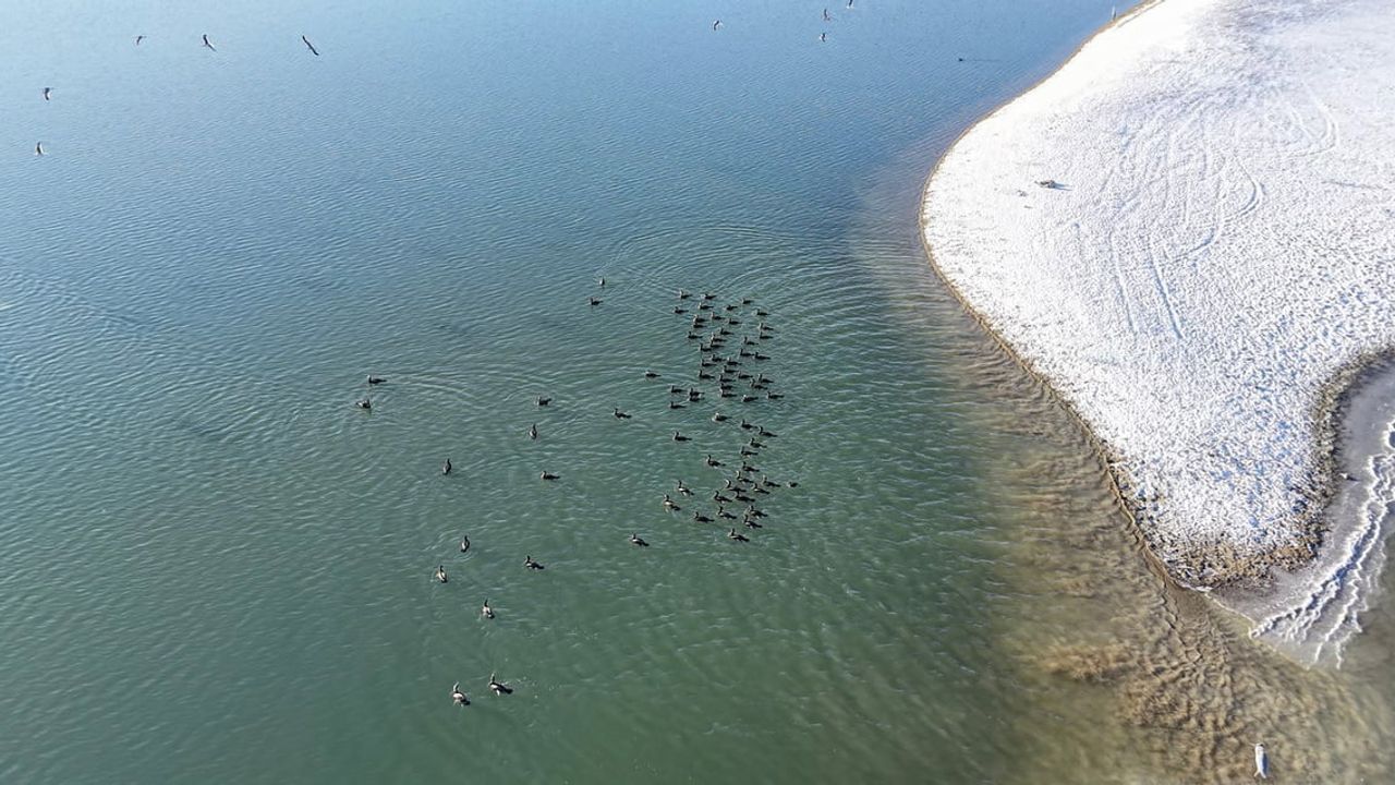 Elazığ Cip Baraj Gölü'nde Kara Batakların Kartpostallık Anları
