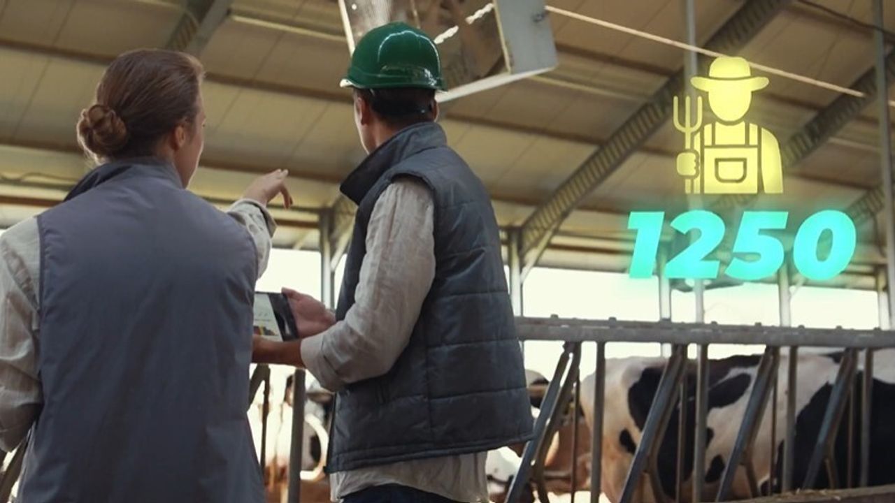 Elazığ'da Cevizdere Besi Bölgesi Altyapısı Tamamlandı: Bin 250 İstihdam, 4 bin 500 Ton Et