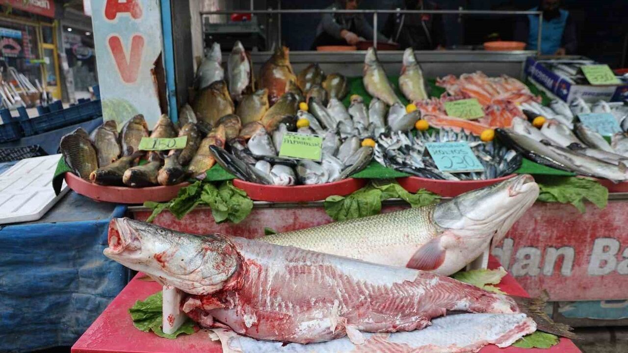 Elazığ'da Soğuyan Hava Balık Talebini Artırdı: Hamsi ve İstavrit Öne Çıkıyor