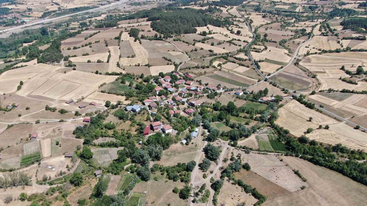 Emekli polis Şaban Meşeoğlu ahşap hat sanatıyla evini müzeye çevirdi