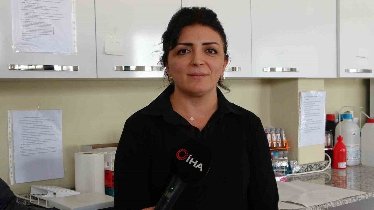 Endemik Hypericum malatyanum, Hypericum perforatum'a göre kimyasal olarak daha zengin