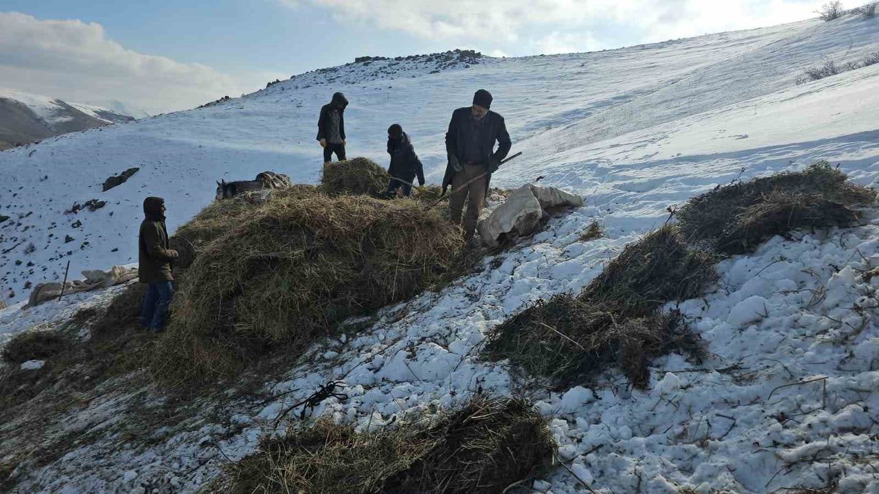 Erciş'te Asırlık Kış Mesaisi: Kızaklarla Ot Taşıma Geleneği