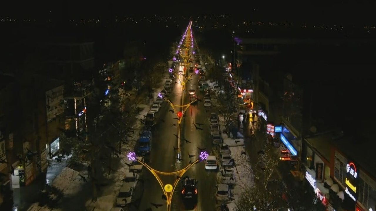 Erzincan'da Akşamları Binlerce Karga Sokakları Sardı