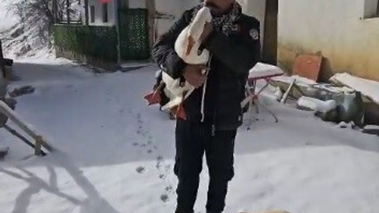 Erzincan'da Çiftçi Misafirleri İçin Kazdan Helallik İstedi