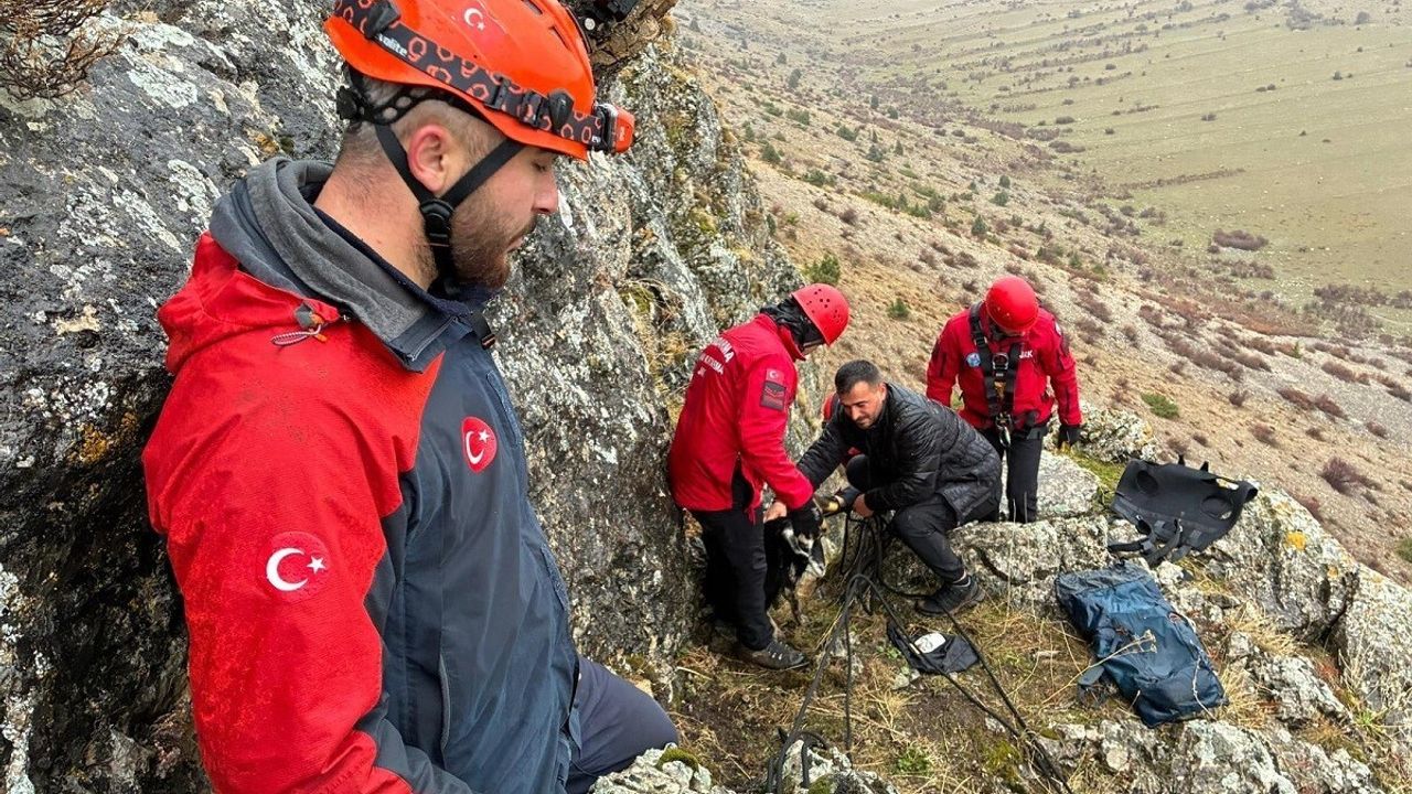 Erzincan'da JAK ve AFAD 10 Keçiyi Kayalıklardan Kurtardı