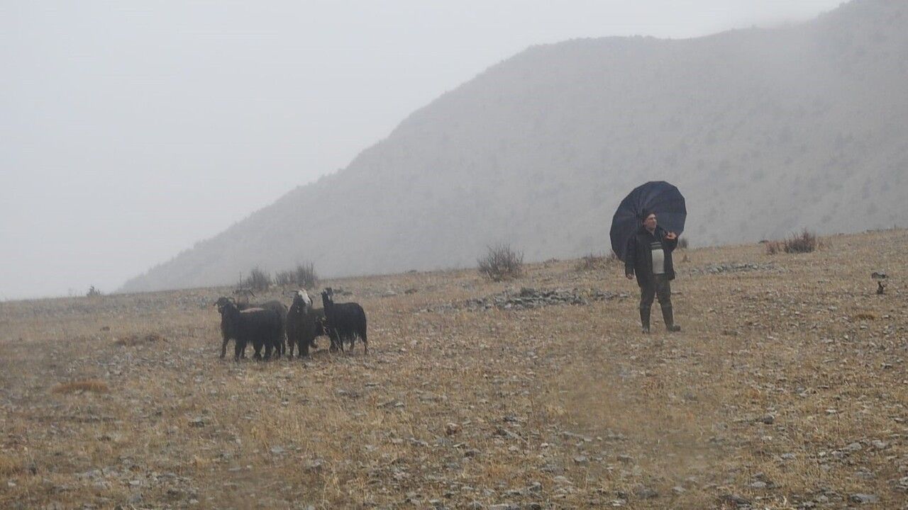 Erzincan'da Kayalıklarda Mahsur Kalan 11 Keçi 3 Saatlik Operasyonla Kurtarıldı