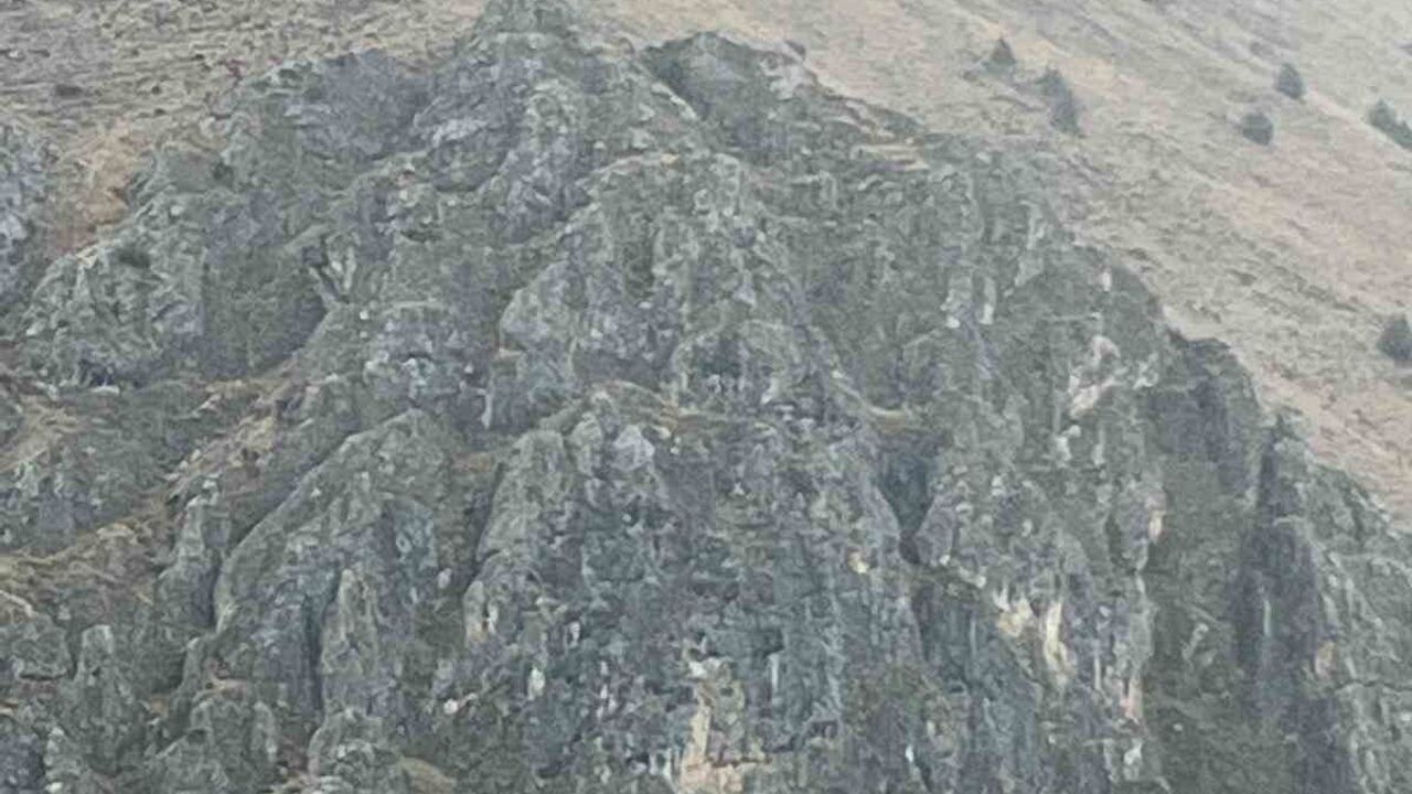 Erzincan'da Mahsur Kalan 10 Keçi İçin JAK ve AFAD Seferber Oldu