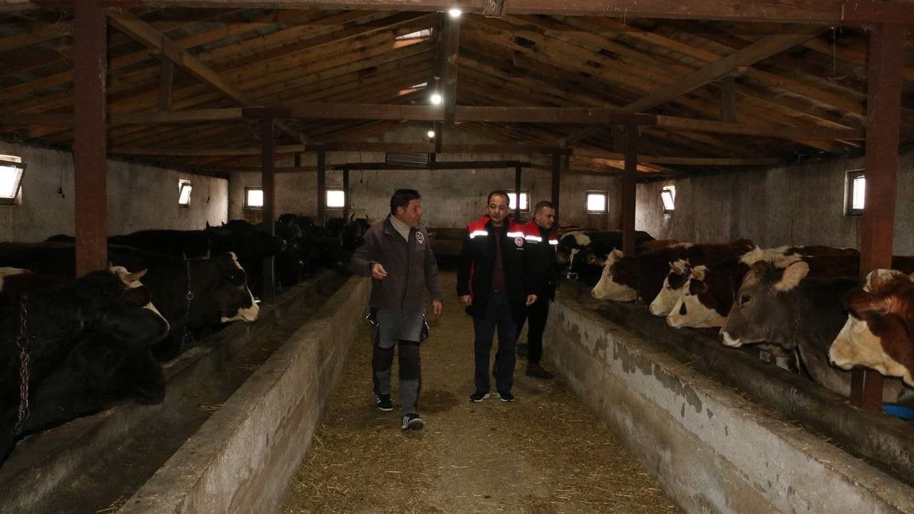 Erzincan’da Manda Yetiştiriciliği İçin Araştırmalar Sürüyor