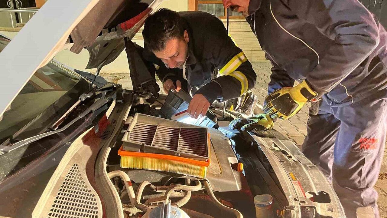 Erzincan'da Motor Bölmesine Sıkışan Kedi İtfaiye Tarafından Kurtarıldı